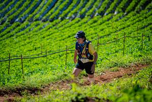 BIB: 
                            <button type="button" onclick="openModal(19162189)" class="btn btn-primary btn-sm float-right btn-popup" data-toggle="modal" data-target=".modal-high-quality">
                        <i class="fas fa-shopping-cart"></i> Add to Cart
                    </button>
                                            <button type="button" onclick="isThisMe(19162189, true)" class="btn btn-success btn-sm float-right btn-popup btn-isme hidden" data-toggle="tooltip" data-placement="bottom" title="นี่คือรูปของคุณใช่ไหม คลิกที่นี่เพื่อเอาเข้าอัลบั้ม">
                        <i class="fas fa-plus"></i> Add to album
                    </button>
                    <button type="button" onclick="isThisMe(19162189, false)" class="btn btn-warning btn-sm float-right btn-popup btn-isnotme hidden">
                        <i class="fas fa-ban"></i> Remove from album
                    </button>